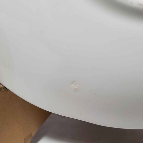 Roslyn Teacup and Saucer Blue Picta Flowers Vintage - Picture 7 of 10